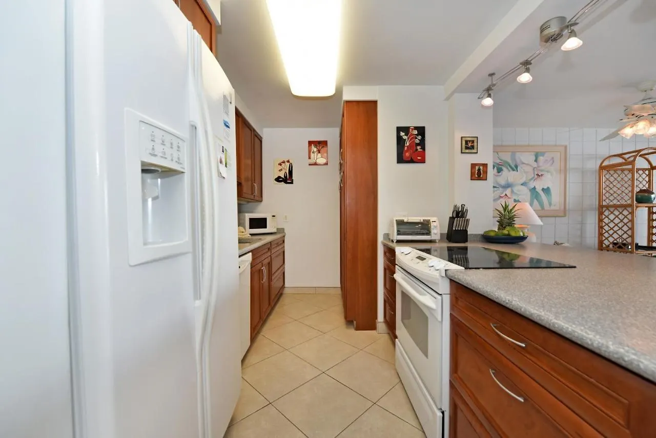 Διαμέρισμα Valley Isle 905 Kahana Ηνωμένες Πολιτείες της Αμερικής